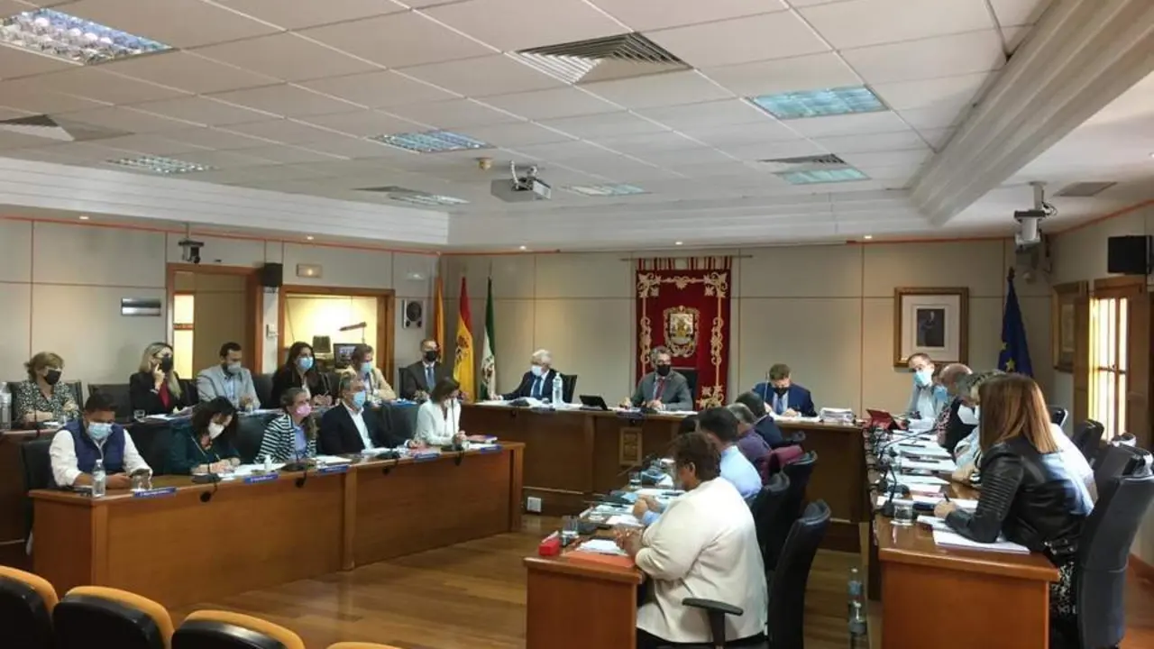 pleno Benalm&aacute;dena. - Ayto. BEnalm&aacute;dena