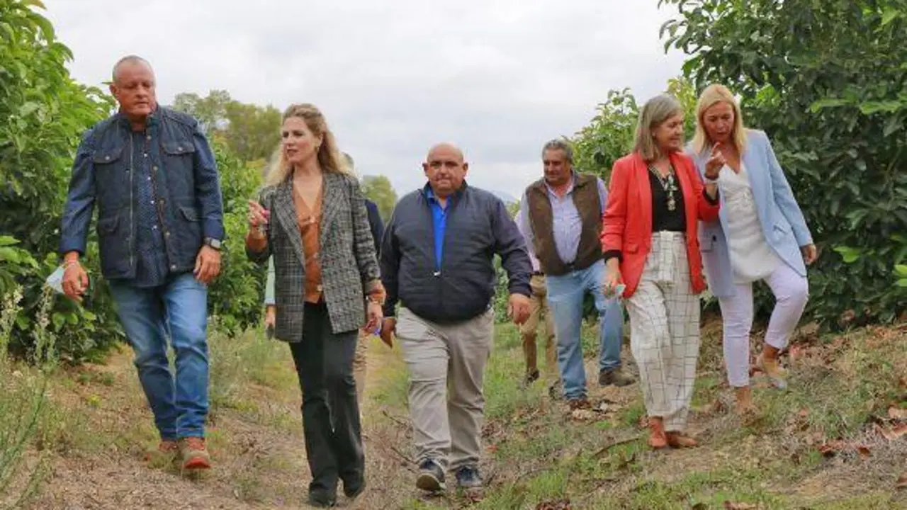 Visita de Mestre a las cooperativas de Tesorillo y Guadiaro. - AI