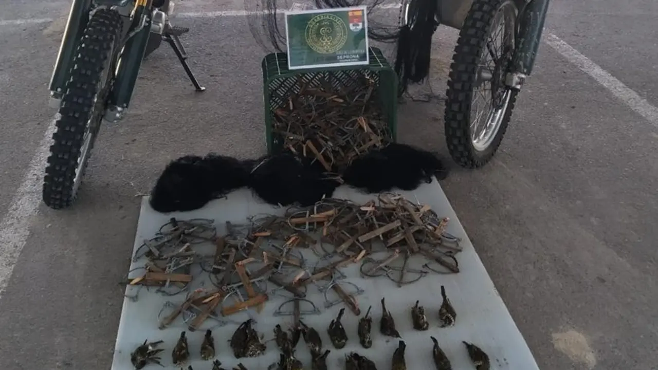 Las perchas incautadas por el Seprona - Guardia Civil