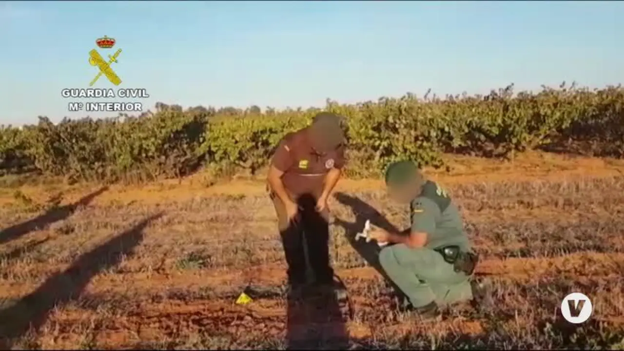 Sorprendido 'in fraganti' con cepos ilegales de caza en una finca de Almonte