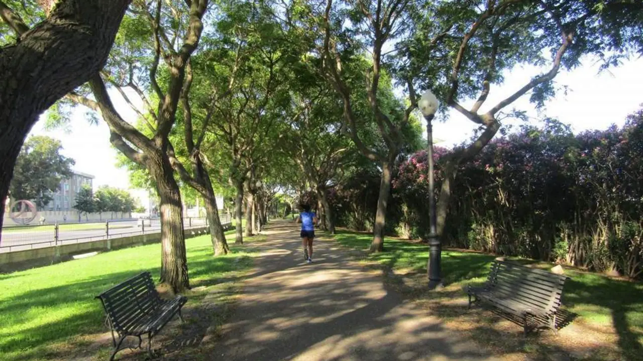 Parque del Oeste. - 