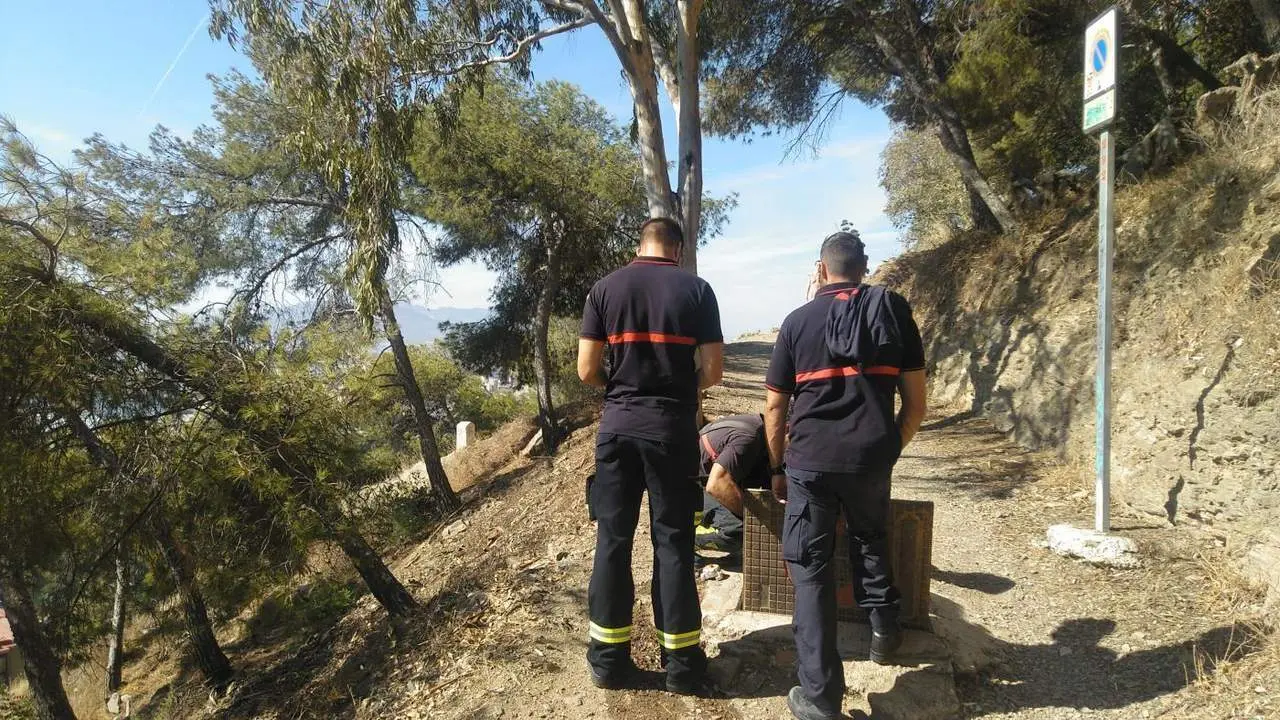 Bomberos de M&aacute;laga (archivo). - VM
