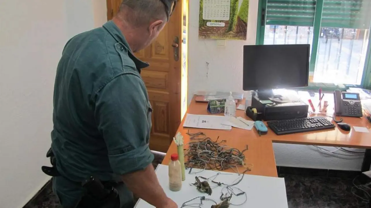 Material decomisado. - Guardia Civil