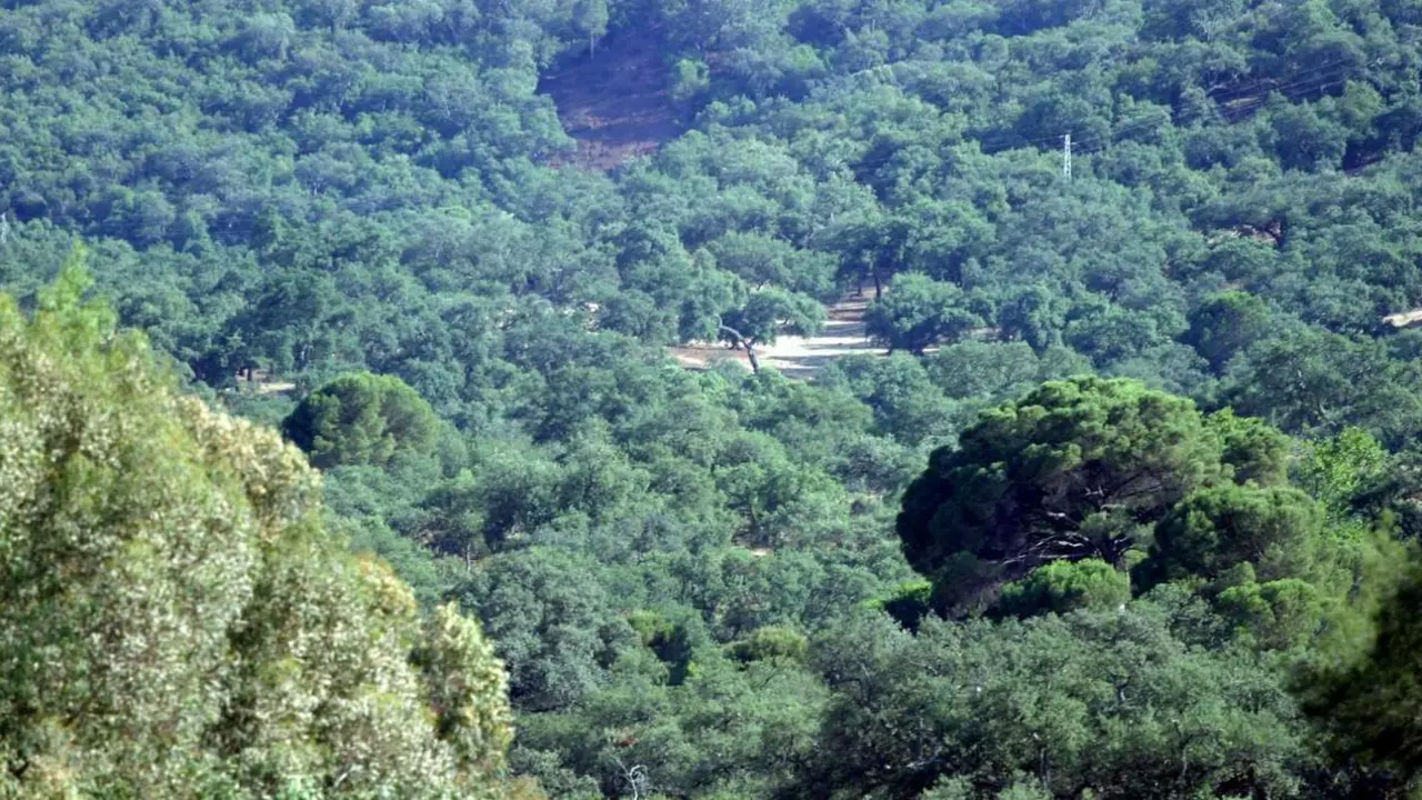 Vista general de la sierra onubense. - VH
