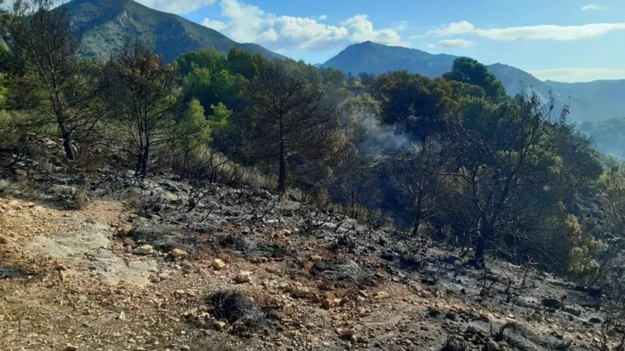 Imagen del terreno afectado por el incendio. - Plan INFOCA