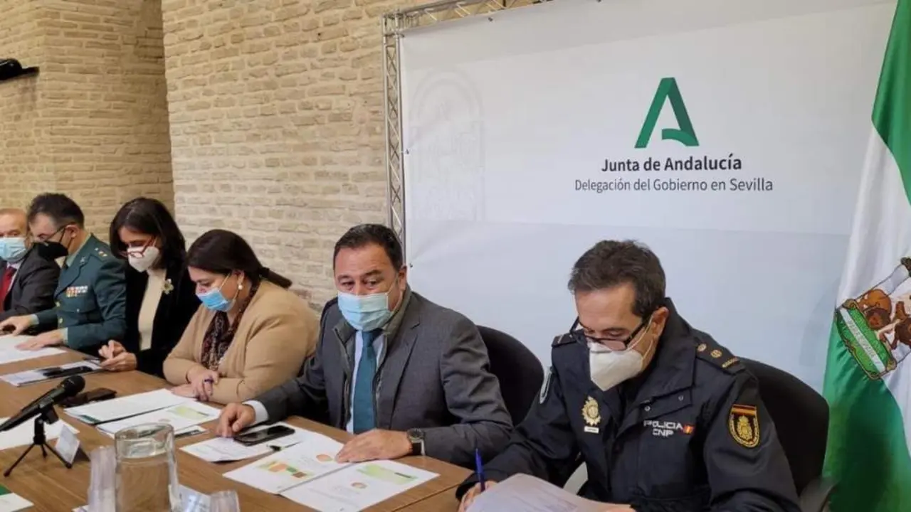 El delegado de la Junta en Sevilla, Ricardo S&aacute;nchez, ha presidido la reuni&oacute;n del Comit&eacute; Asesor Provincial del Plan Infoca 2021. - JUNTA DE ANDALUC&Iacute;A
