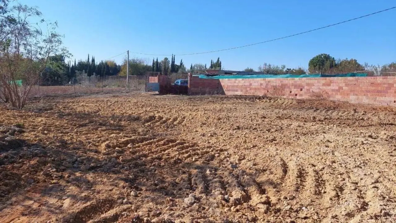  Alcolea del R&iacute;o. - Junta