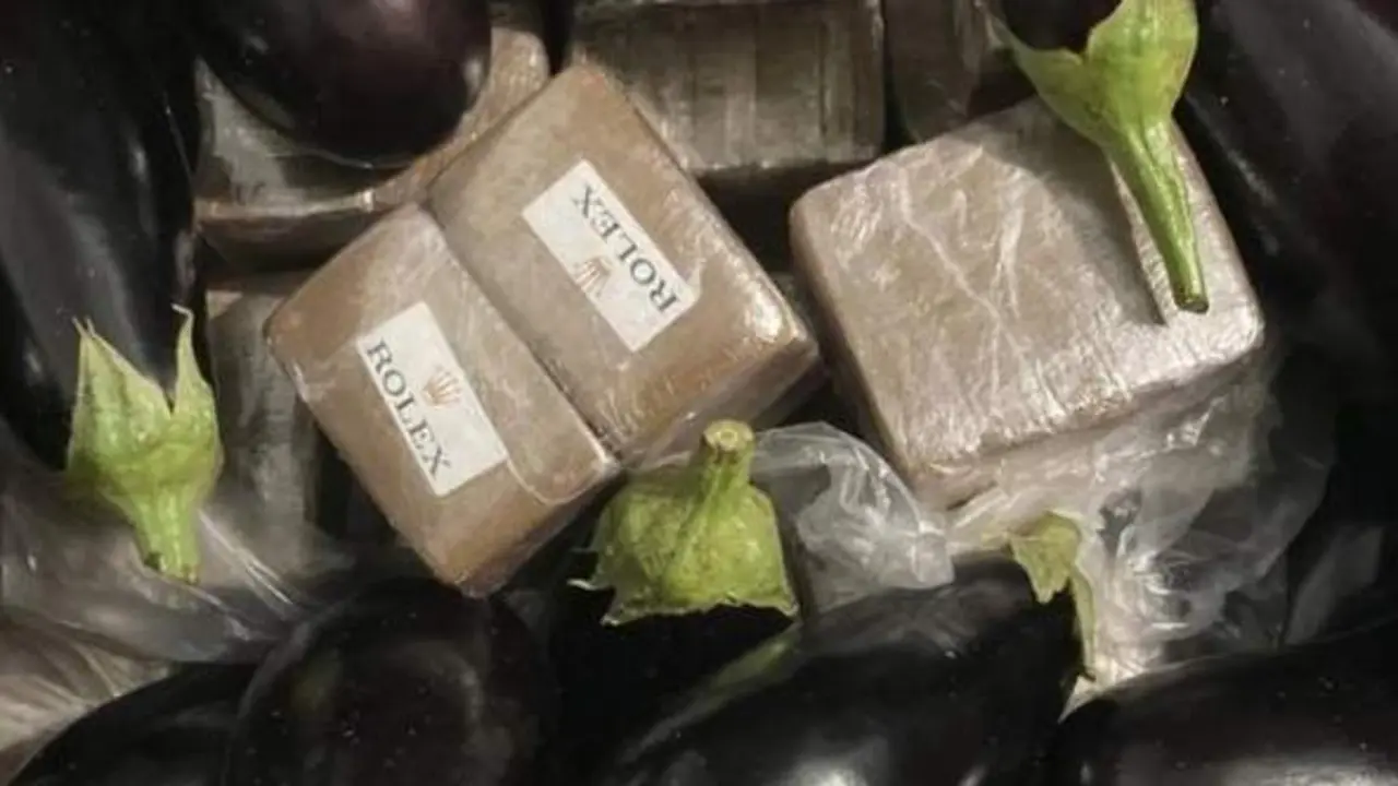 Droga incautada en la 'Operaci&oacute;n Husky'. - CNP M&aacute;laga