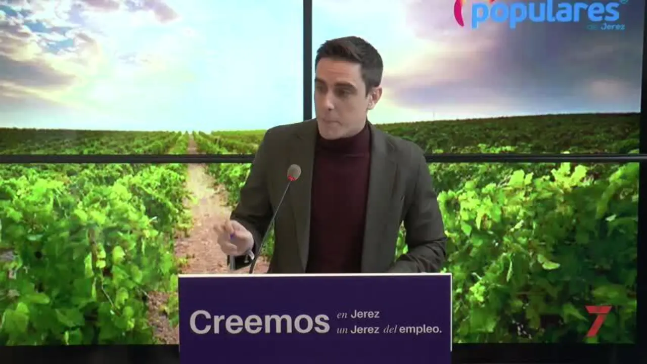 El PP culpa al Gobierno local del proyecto e&oacute;lico en el vi&ntilde;edo de Jerez
