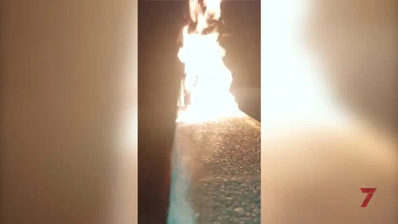Investigados dos j&oacute;venes de Lora del R&iacute;o por pegar fuego a una rata encerrada en una jaula
