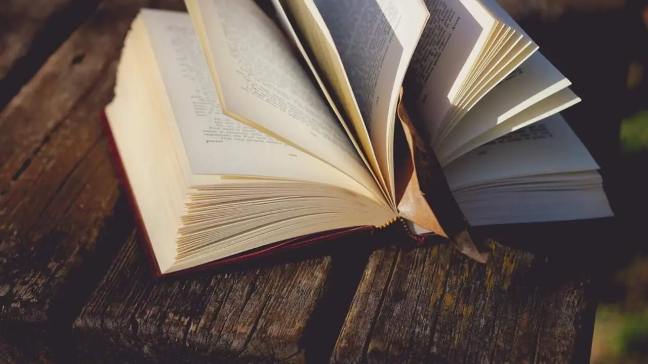 Lectura. - 