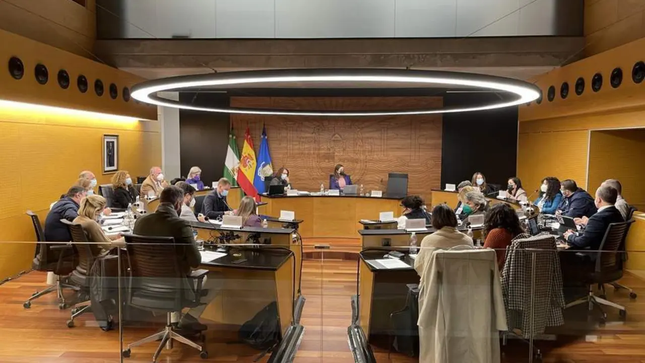 Pleno municipal. - 