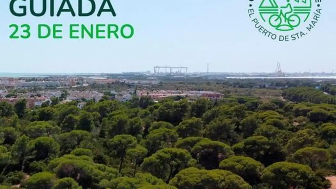 Ruta en bici guiada.  - Viva.