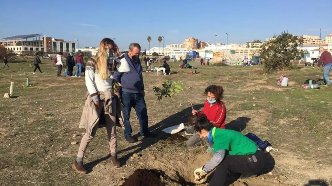 Tareas de plantaci&oacute;n. - BUM