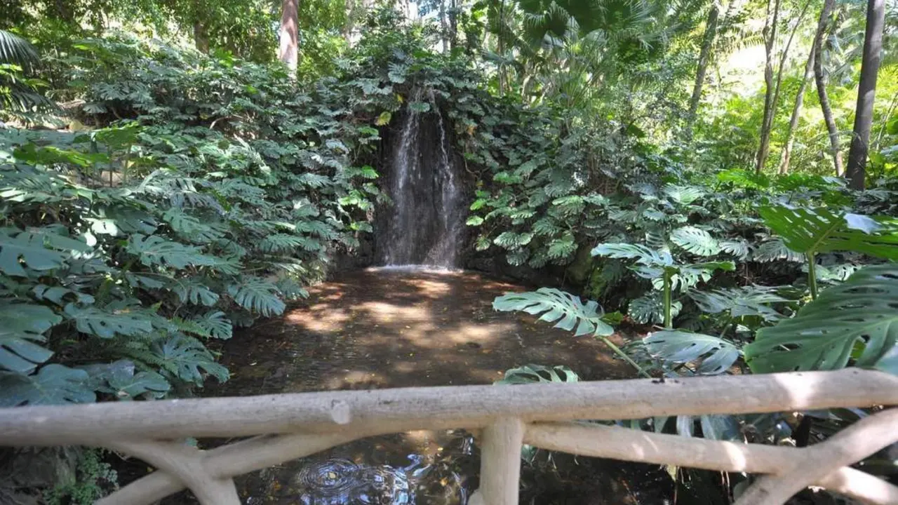 El Jard&iacute;n de la Concepci&oacute;n. - EP