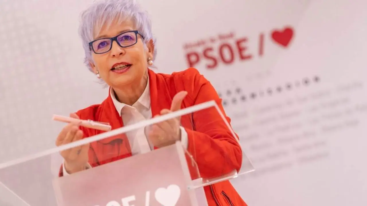 La vecesecretaria general del PSOE de Alcal&aacute;, Elena V&iacute;boras.  - PSOE