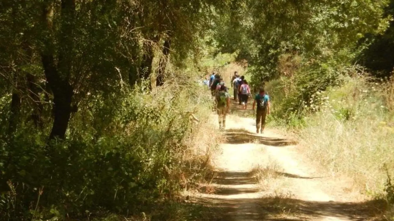 Jornada de 'trekking' realizada en el Sendero Estaciones del Hu&eacute;znar. - DIPUTACI&Oacute;N DE SEVILLA