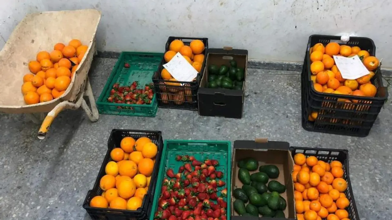 Fruta incautada.  - Ayuntamiento