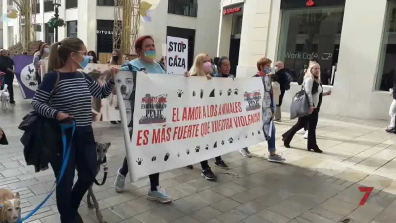 La Protectora de M&aacute;laga pide a la Junta explicaciones por una cacer&iacute;a en Sierra Bermeja