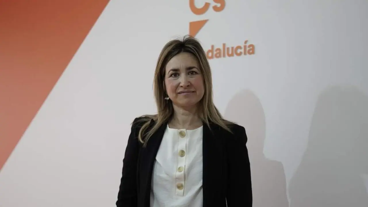 Cs valora los 4,1 millones que Igualdad destinar&aacute; al Tercer Sector para ayudar a 82.000 sevillanos. - CS