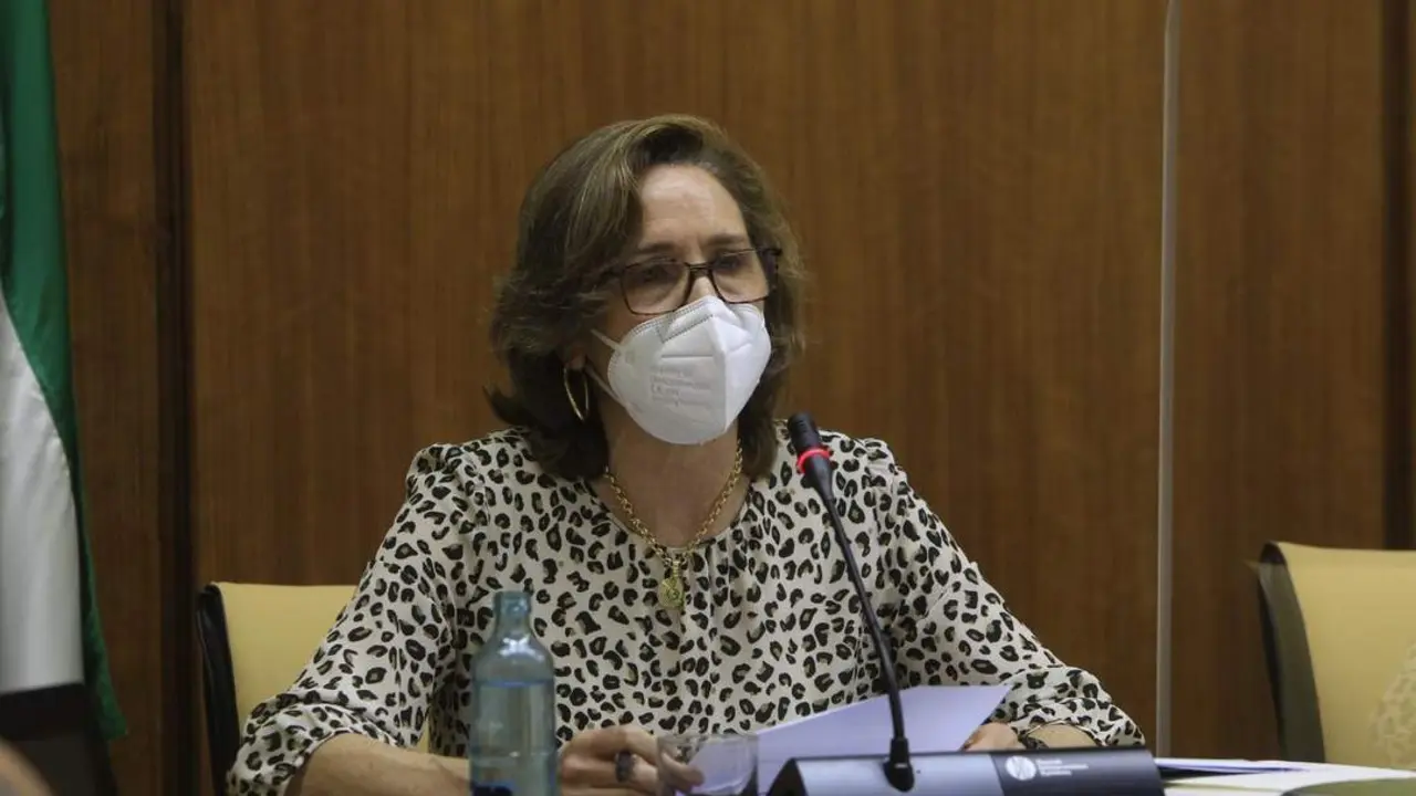 La presidenta de la C&aacute;mara de Cuentas, Carmen N&uacute;&ntilde;ez, durante su comparecencia parlamentaria. - Viva.
