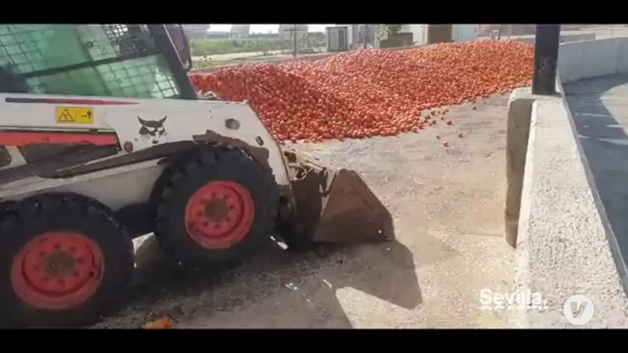 Cuando la naranja amarga de Sevilla es sin&oacute;nimo de econom&iacute;a circular