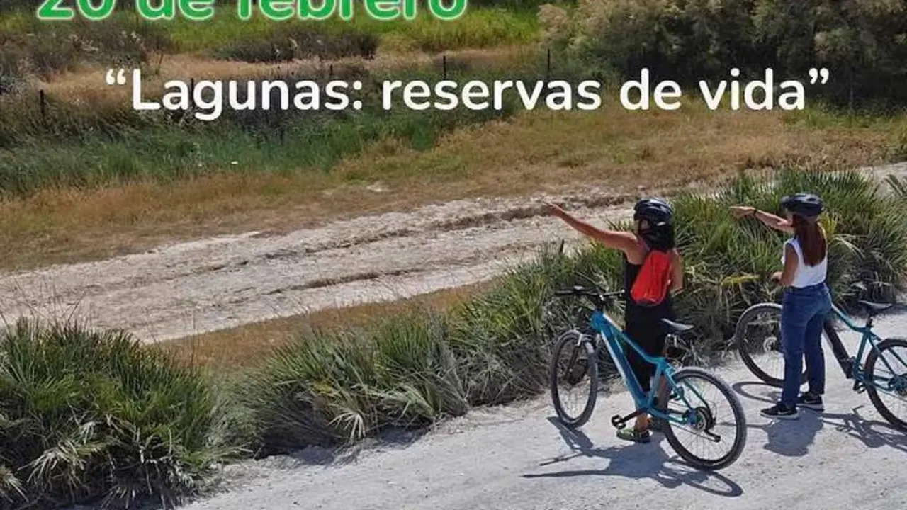 Ruta guiada en bici.  - Viva.