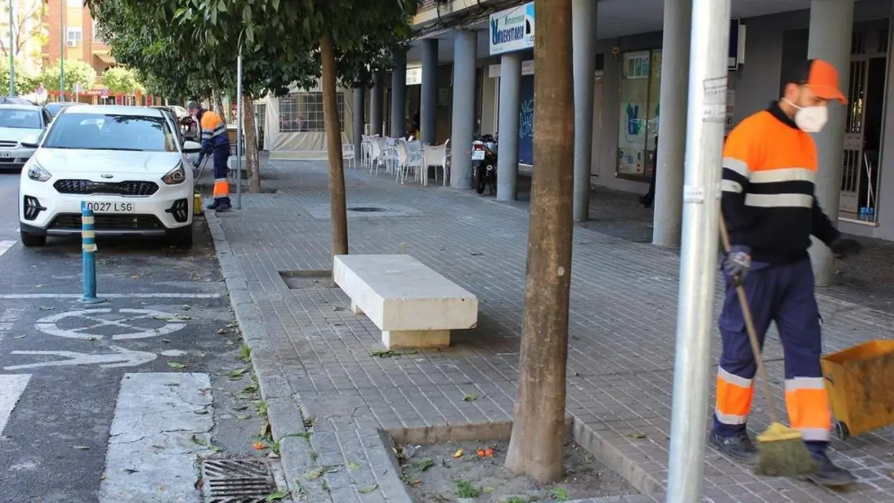 Operarios de Lipasam recogiendo naranjas amargas ca&iacute;das en el suelo. - AYUNTAMIENTO DE SEVILLA