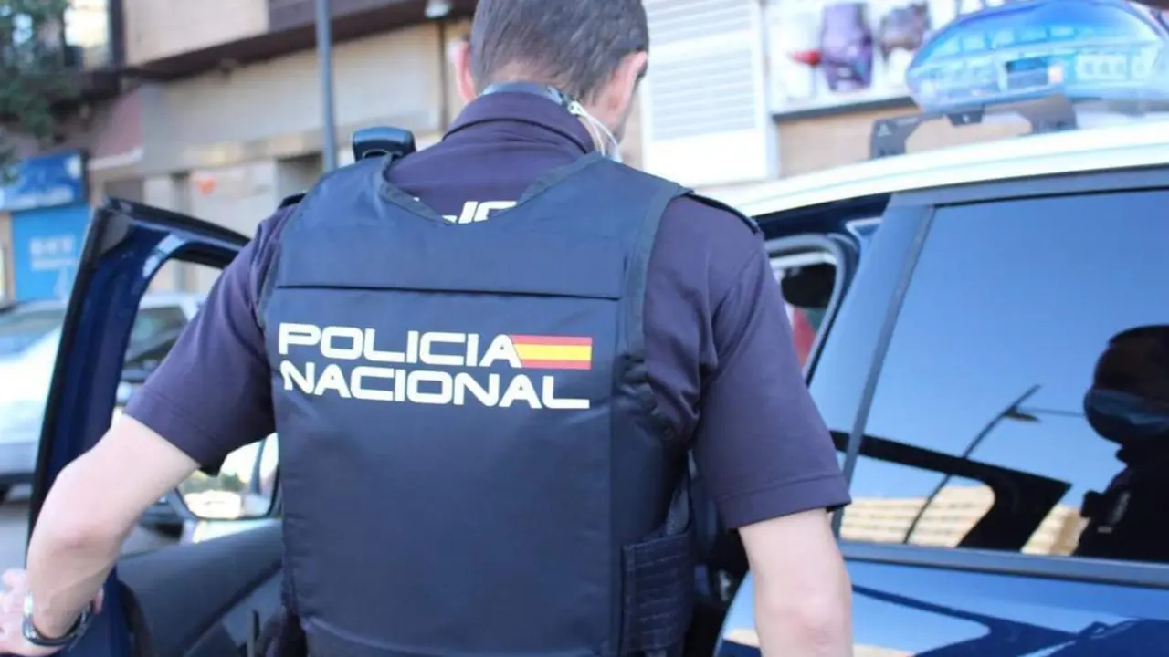 Imagen de recurso de un agente de la Polic&iacute;a Nacional. - POLIC&Iacute;A NACIONAL