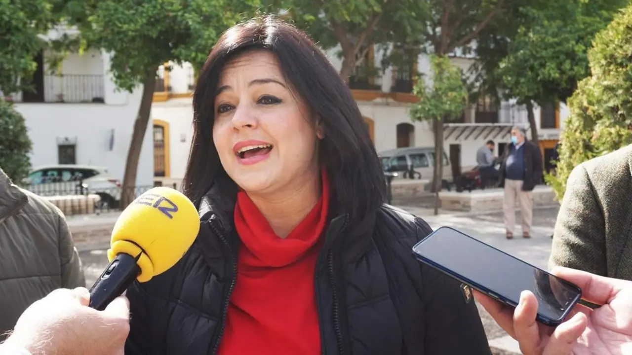 La presidenta del PP de Sevilla, Virginia P&eacute;rez.  - PP SEVILLA