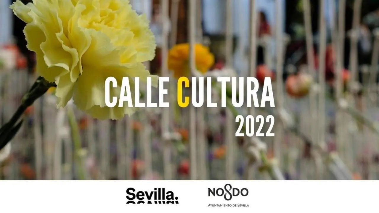 Cartel de Calle Cultura. - AYTO SEVILLA
