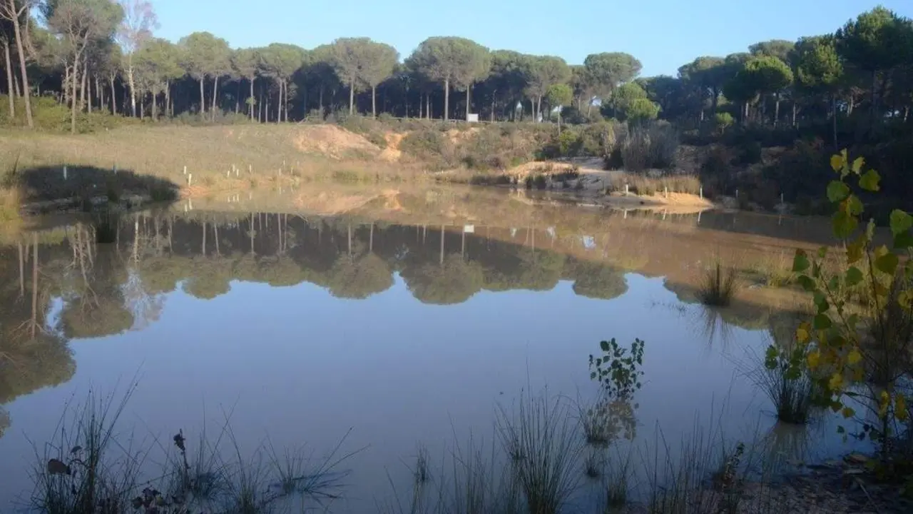 Parque Nacional de Do&ntilde;ana - VH