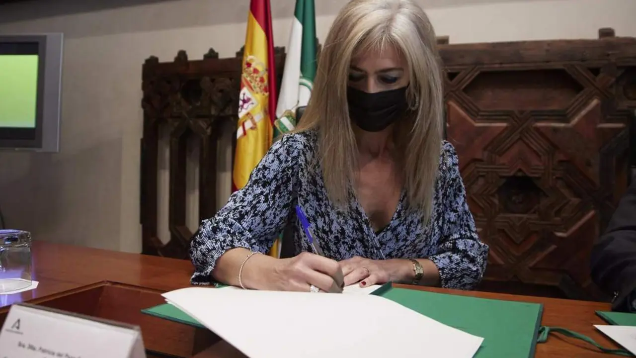 La consejera de Cultura y Patrimonio Hist&oacute;rico, Patricia del Pozo. - JOAQUIN CORCHERO / EP 