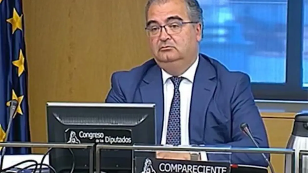 &Aacute;ngel Ron, en una comparecencia ante el Congreso de los Diputados. - 