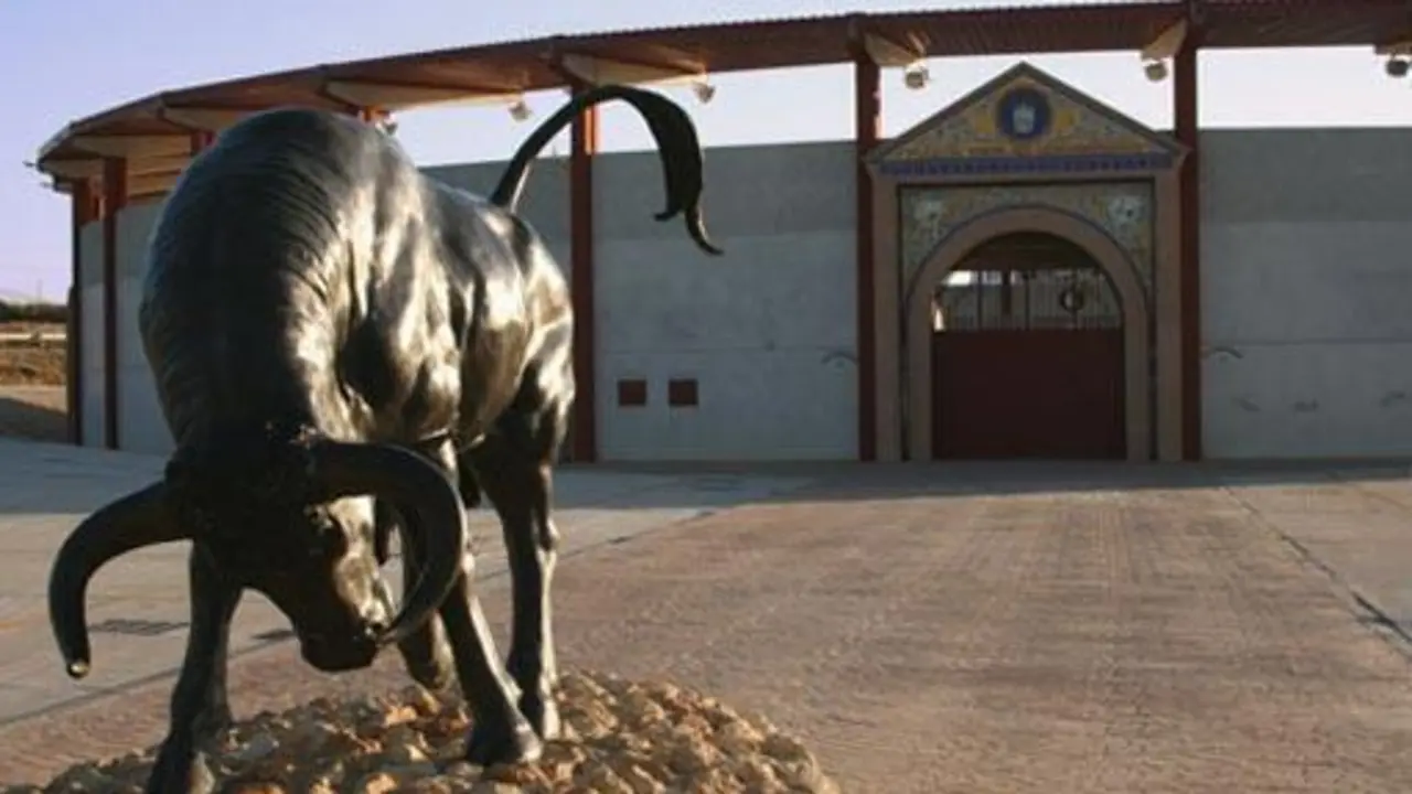 Plaza de toros de Palos de la Frontera. - 