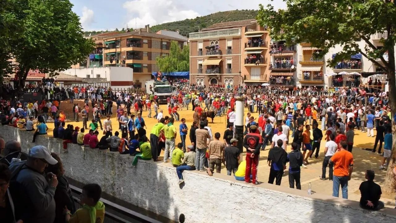 Fiestas de San Marcos con los toros 'ensogaos' (Archivo). - MANUEL CARDERA 