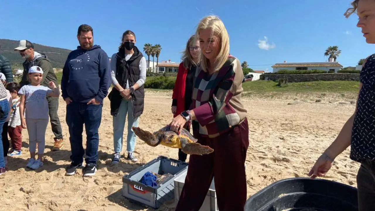 Suelta de una de las tortugas bobas en Tarifa. - AI