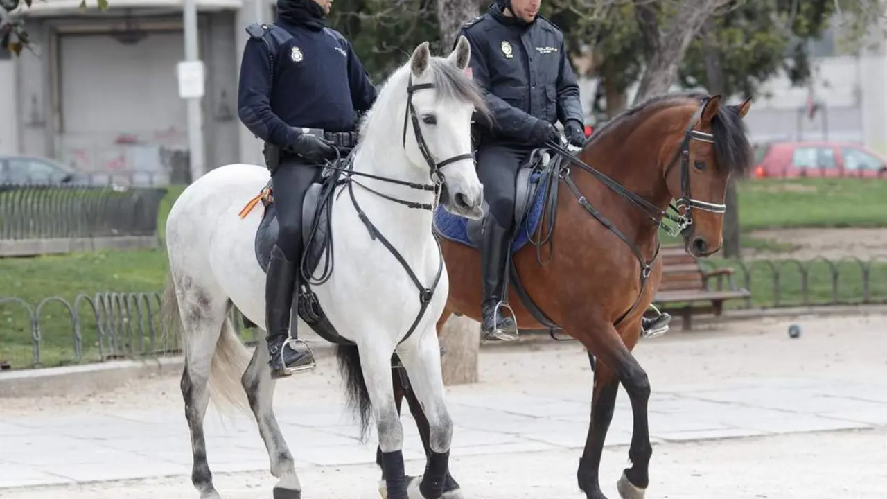 Recursos de Polic&iacute;a Nacional, agente, agentes, polic&iacute;a, polic&iacute;as, caballer&iacute;a de la Polic&iacute;a Nacional, polic&iacute;a a caballo, polic&iacute;as a caballo. - EUROPA PRESS