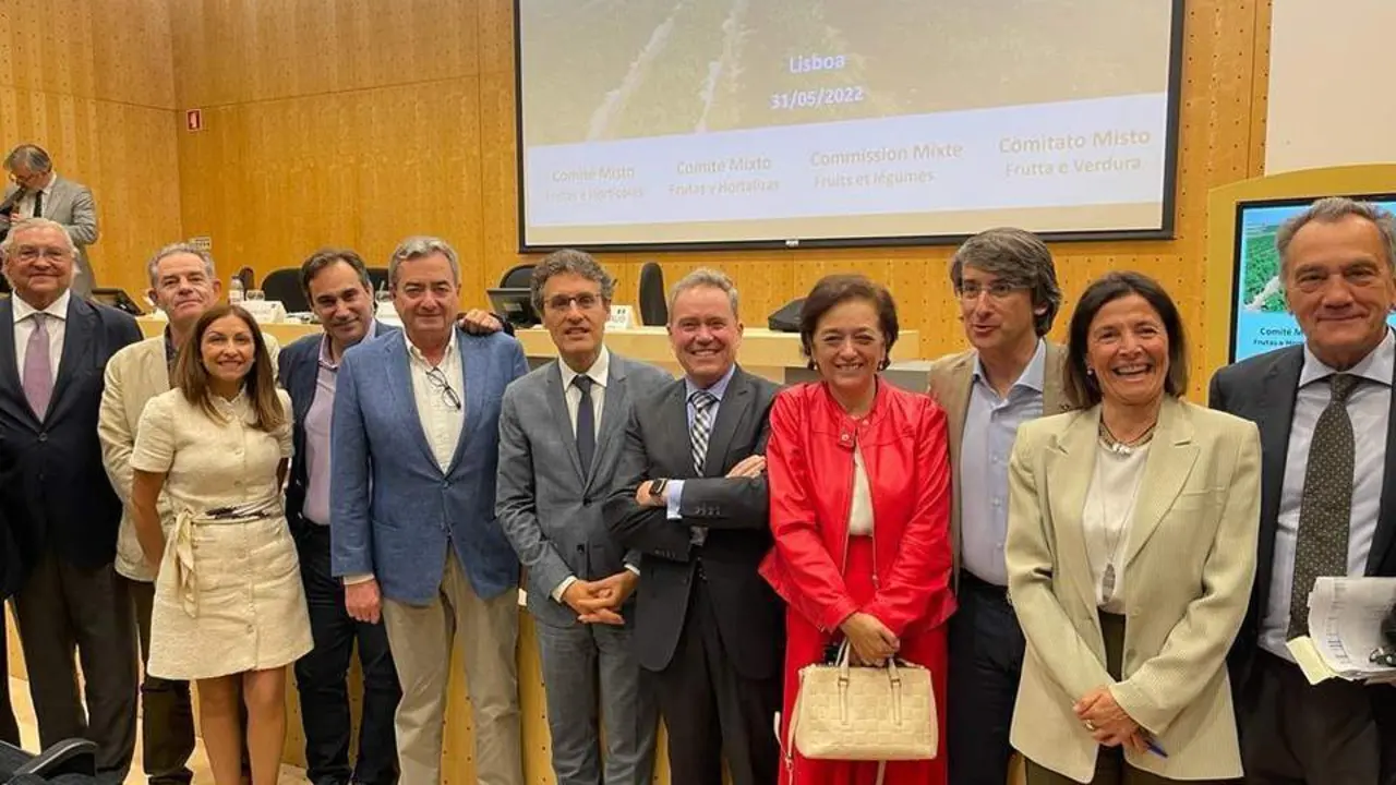 Celebraci&oacute;n del Comit&eacute; Mixto Hispano-Franco-Italiano-Portugu&eacute;s. - VH