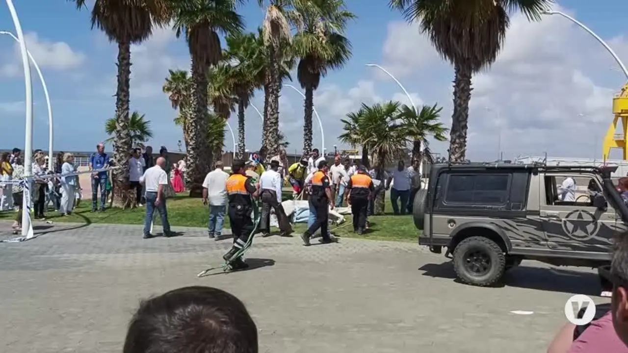 Gran susto en el Muelle del Tinto por el accidente de un caballo de la Hermandad de Huelva