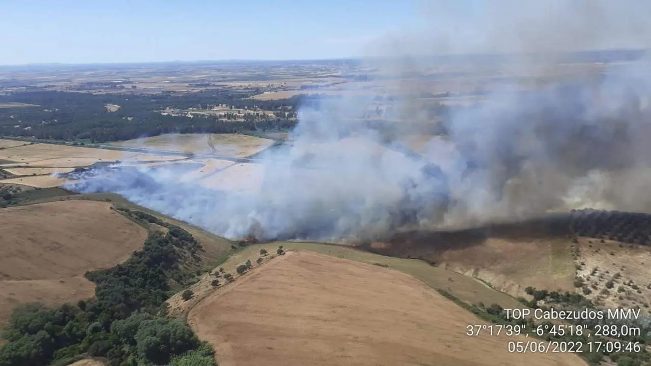 Incendio de Lucena. - INFOCA