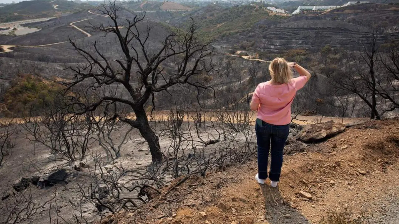 Incendio del pasado a&ntilde;o en Sierra Bermeja. - efe
