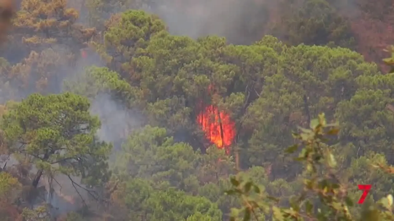 El regreso del monstruo: En Pujerra la situaci&oacute;n del incendio es bastante mejor