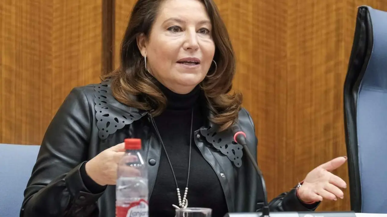La consejera de Agricultura, Ganader&iacute;a, Pesca y Desarrollo Sostenible, Carmen Crespo.  - VH