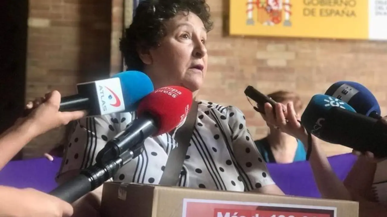 Mar&iacute;a Salmer&oacute;n en la Delegaci&oacute;n del Gobierno.  - EUROPA PRESS