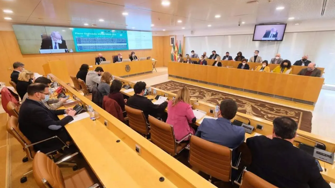 Pleno extraordinario de la Diputaci&oacute;n de Sevilla. - DIPUTACI&Oacute;N DE SEVILLA