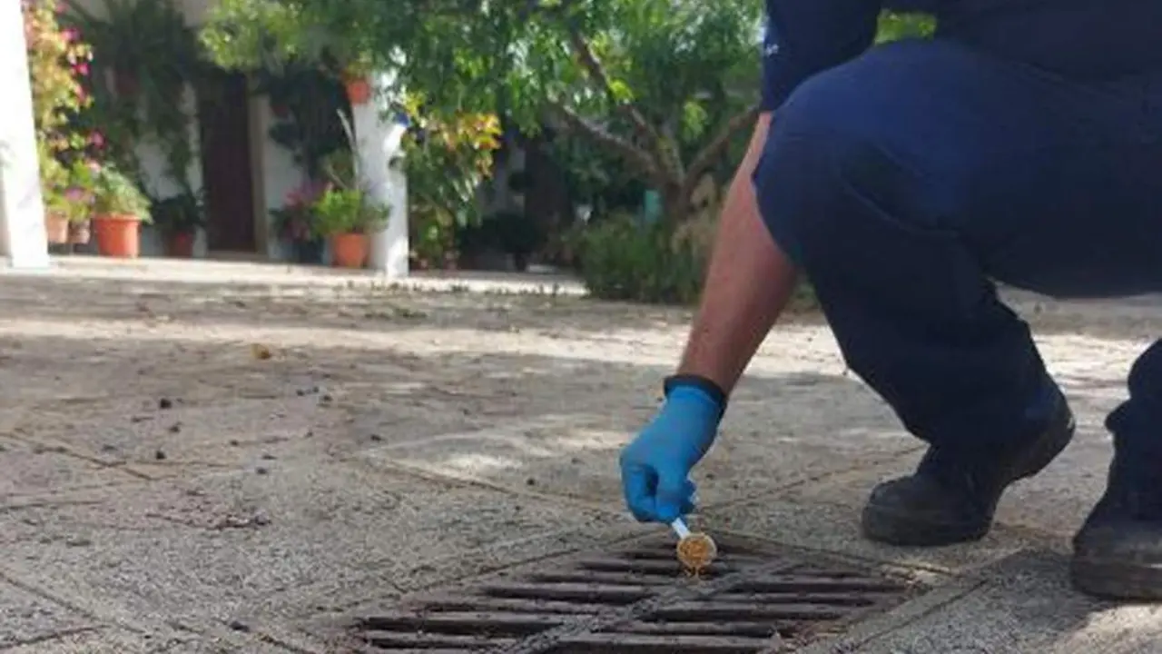 Una de las actuaciones llevadas a cabo. - 