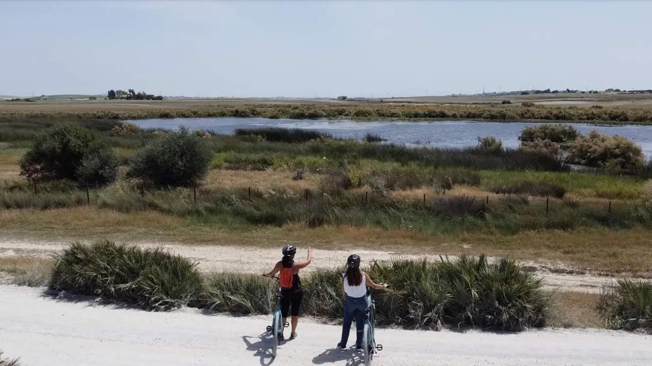 Ruta en bici.  - Viva.