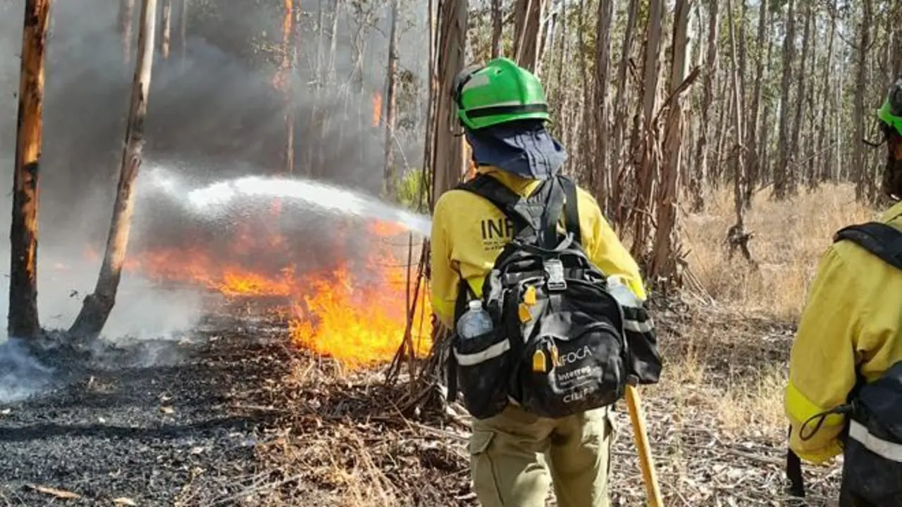 Lucha contra el fuego en Almonte. - INFOCA