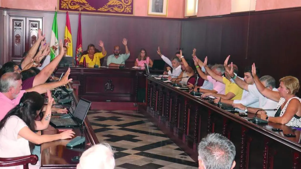 El Pleno de Puerto Real vot&oacute; en contra de la expropiaci&oacute;n de Delphi por la APBC y su uso para graneles.  - VIVA